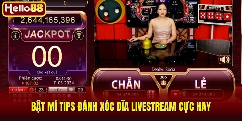 Xóc Đĩa Livestream - Tựa Game Đổi Thưởng Không Nên Bỏ Lỡ 3 Bật mí tips đánh xóc đĩa livestream cực hay