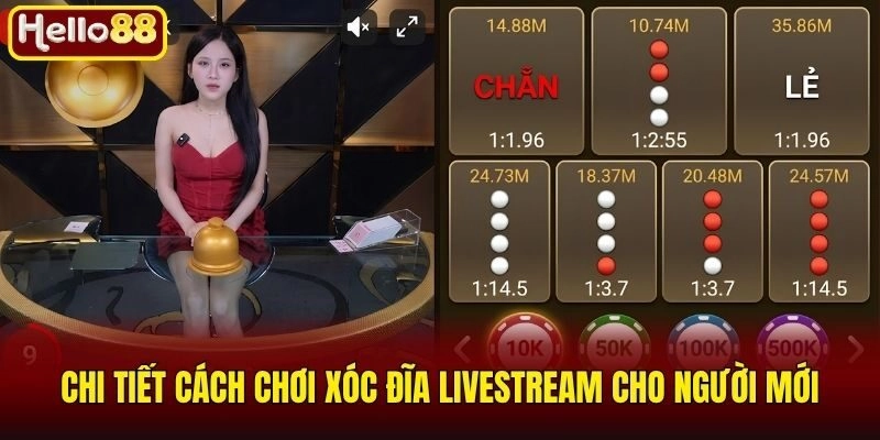 Xóc Đĩa Livestream - Tựa Game Đổi Thưởng Không Nên Bỏ Lỡ 2 Chi tiết cách chơi xóc đĩa livestream cho người mới
