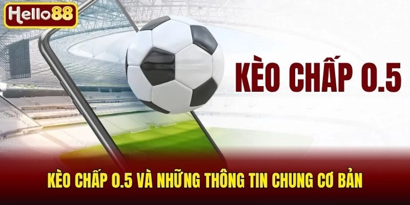 Kèo Chấp 0.5 Là Gì Và Tuyệt Chiêu Soi Kèo Luôn Thắng 2026 1 Kèo chấp 0.5 và những thông tin chung cơ bản