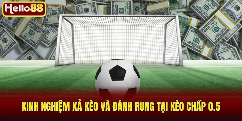 Kèo Chấp 0.5 Là Gì Và Tuyệt Chiêu Soi Kèo Luôn Thắng 2026 3 Kinh nghiệm xả kèo và đánh rung tại kèo chấp 0.5