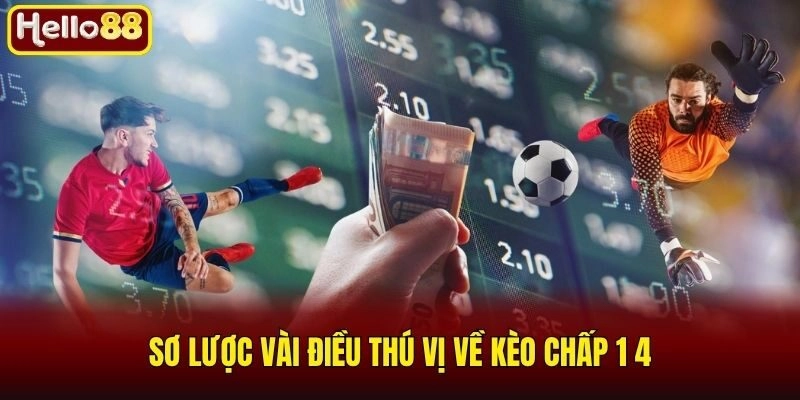 Kèo Chấp 1 4 Là Gì? Kinh Nghiệm Bắt Kèo Chuẩn Cùng Hello88 1 Sơ lược vài điều thú vị về kèo chấp 1 4